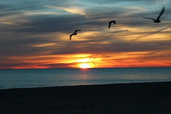 Sunrise at Cedar Point