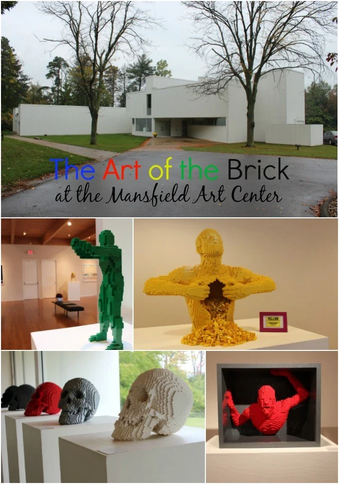 The Art of the Brick at the Mansfield Art Center opens May 7th and runs until August 27th.