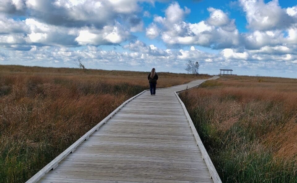 Visiting Headlands Dunes State Nature Preserve in Mentor Ohio Travel