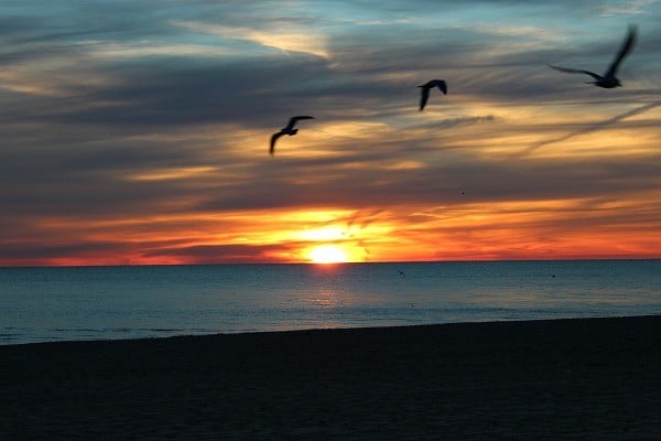 Sunrise at Lake Erie