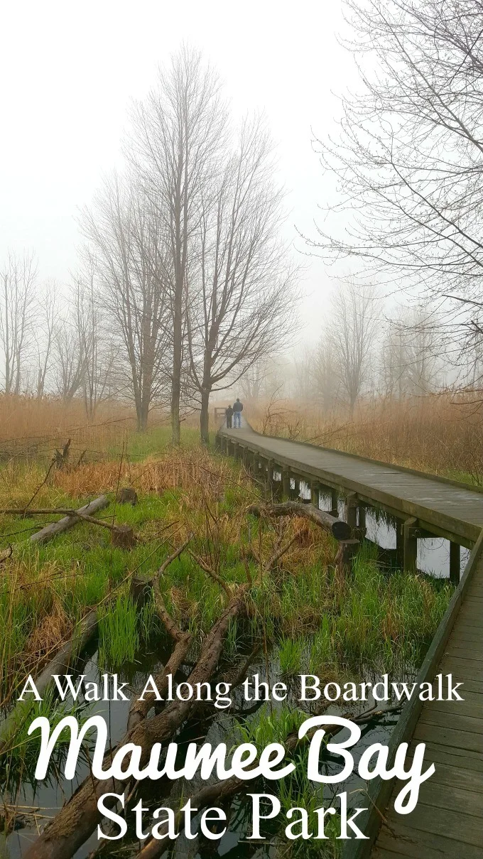 An early morning walk along the boardwalk at Maumee Bay State Park