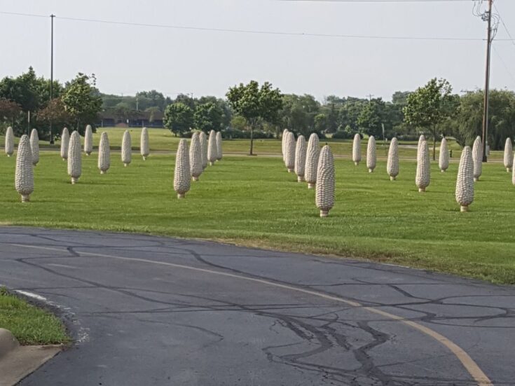 The Field of Corn is a Fun & Quirky Roadside Attraction in Dublin, Ohio