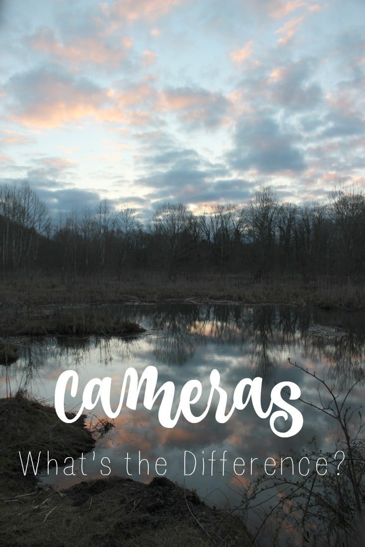 DSLR, Mirrorless and Compact Point and Shoot What's the Difference?