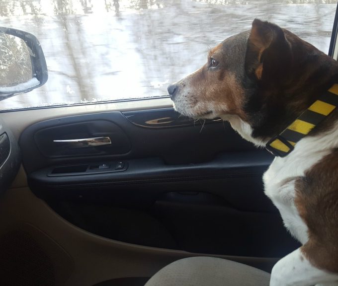 Travel Inspired Living