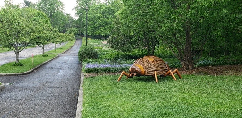 A giant ladybug is featured at Kingwood Center for the Big Bugs exhibit.