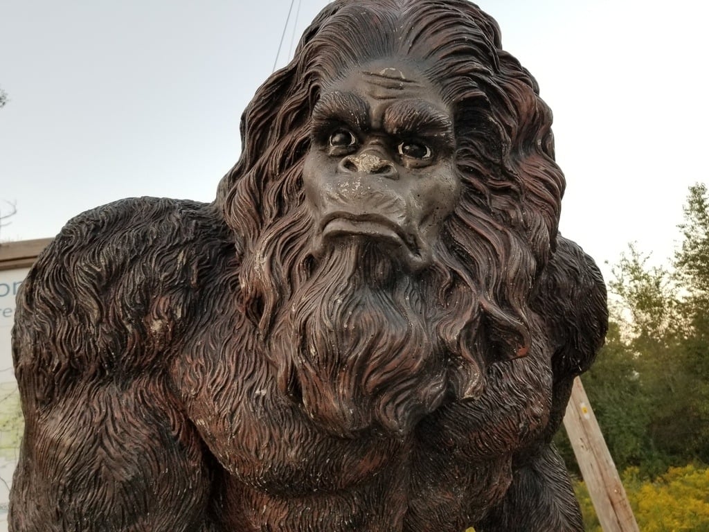Bigfoot! Spotted in Shawnee National Forest!