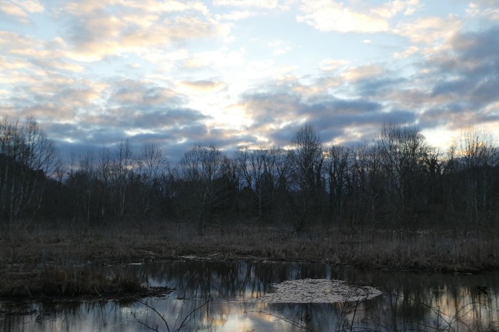 A wetland look at the wayne national forest 
