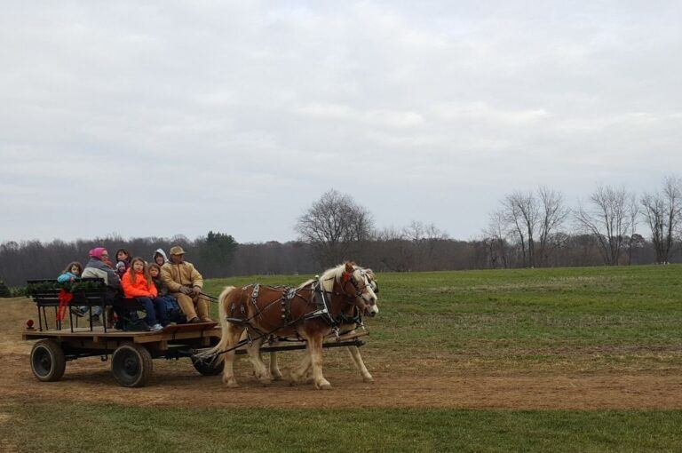 6 Top Christmas Tree Farms in Ohio (2023) Travel Inspired Living
