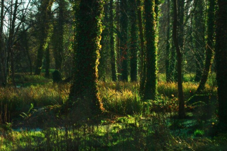 30 of the Best Outdoor Places to Visit in Ohio in 2023+ Printable Bucket List Travel Inspired