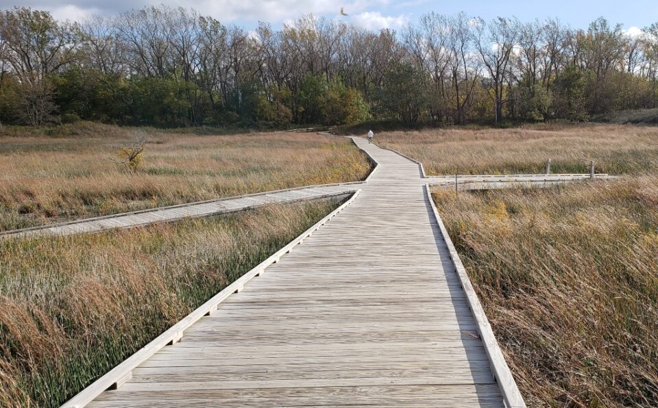 Visiting Headlands Dunes State Nature Preserve in Mentor Ohio Travel
