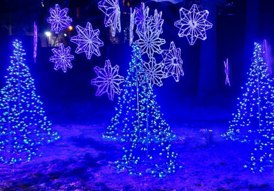 Christmas at Kingwood Center Gardens (2023) Travel Inspired Living