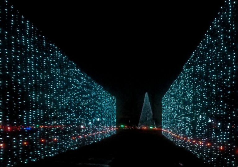 21 Drive Through Christmas Lights in Ohio (Updated for 2023) Travel