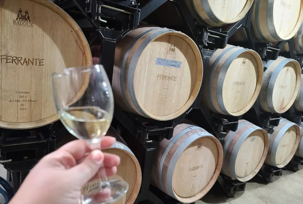 Wine glass and wine barrels.