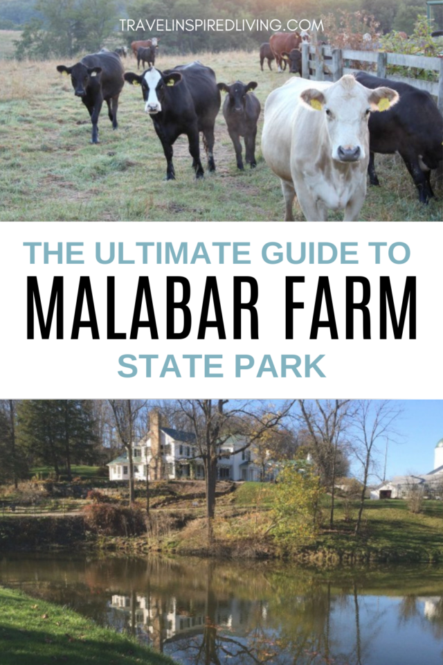 The Ultimate Guide to Malabar Farm State Park from a Local Travel